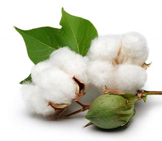 A Breath of Fresh Cotton